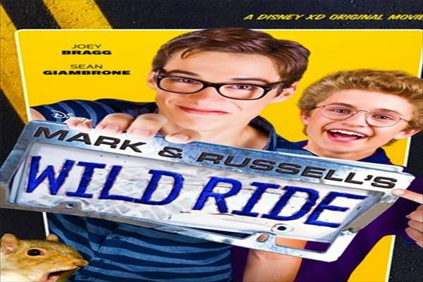 24198